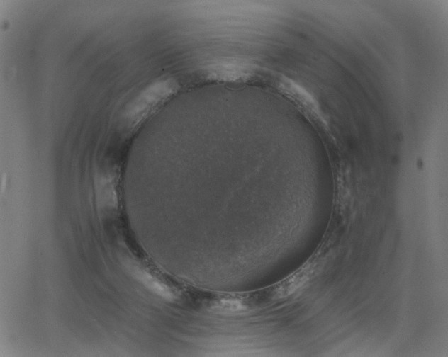 X0000062650114200512230906