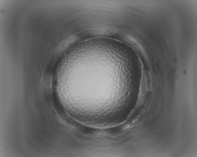 X0000062650115200512230906