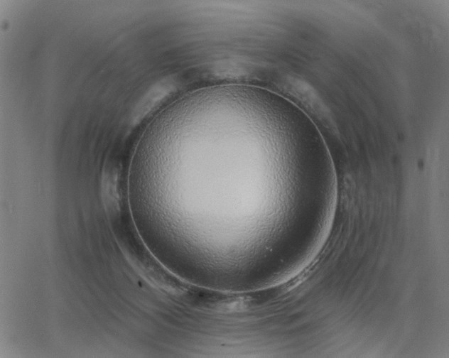 X0000062650116200512230906