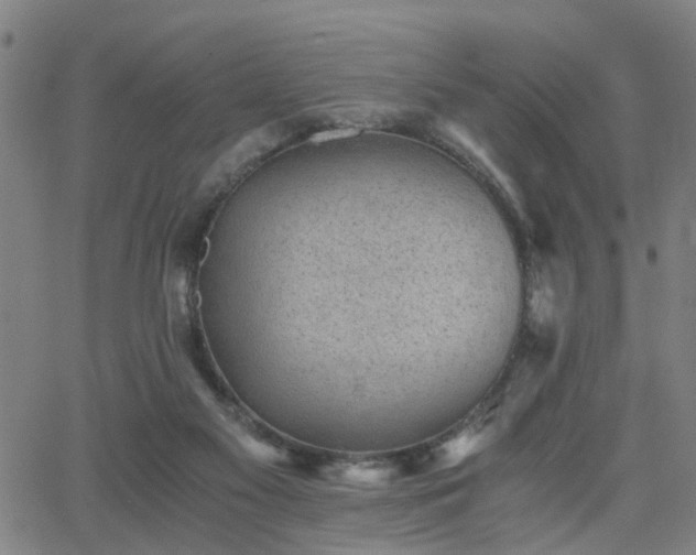 X0000062650117200512230906