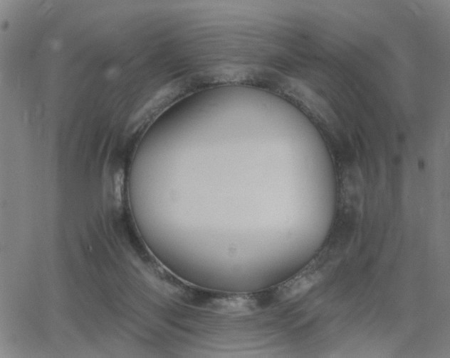 X0000062650118200512230906