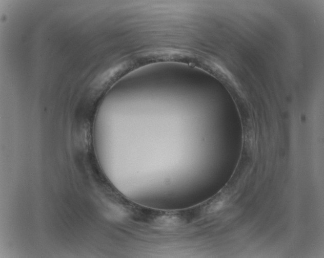 X0000062650119200512230906