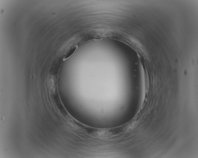 X0000062650121200512230906