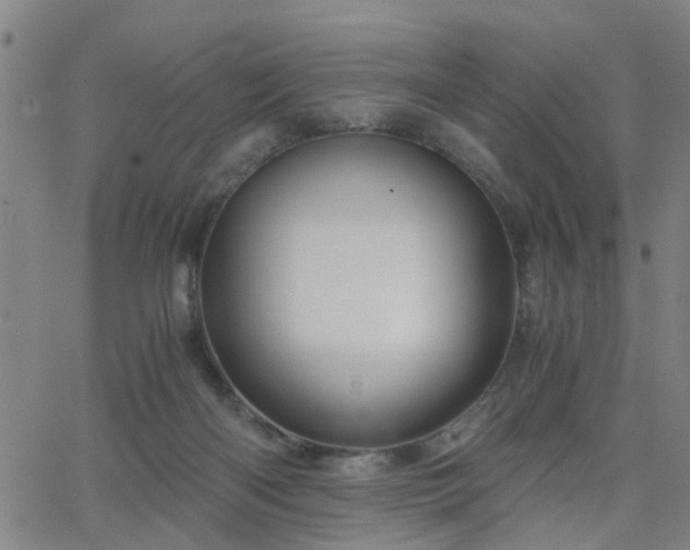 X0000062650122200512230906