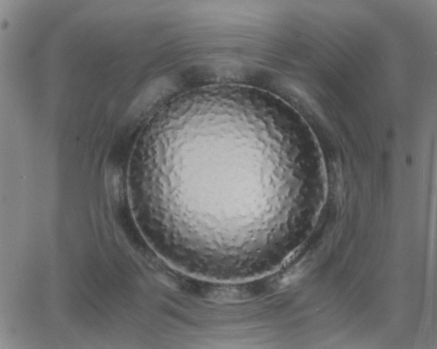 X0000062650123200512230905