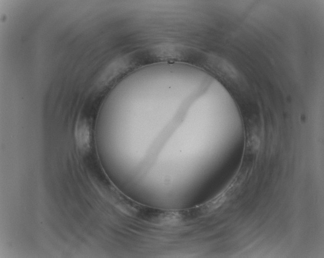 X0000062650124200512230905