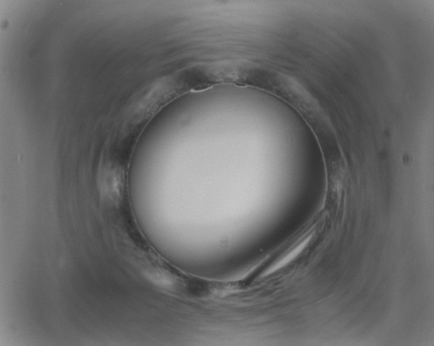 X0000062650125200512230905