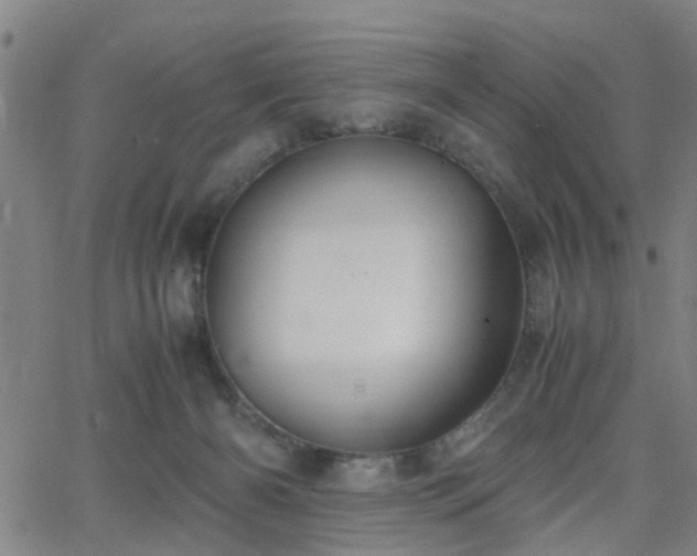 X0000062650126200512230905