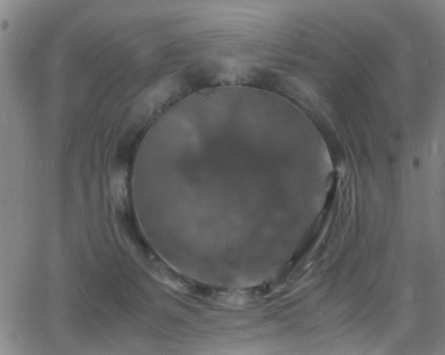 X0000062650127200512230905