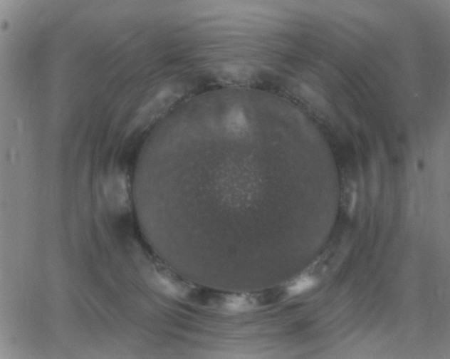 X0000062650130200512230905