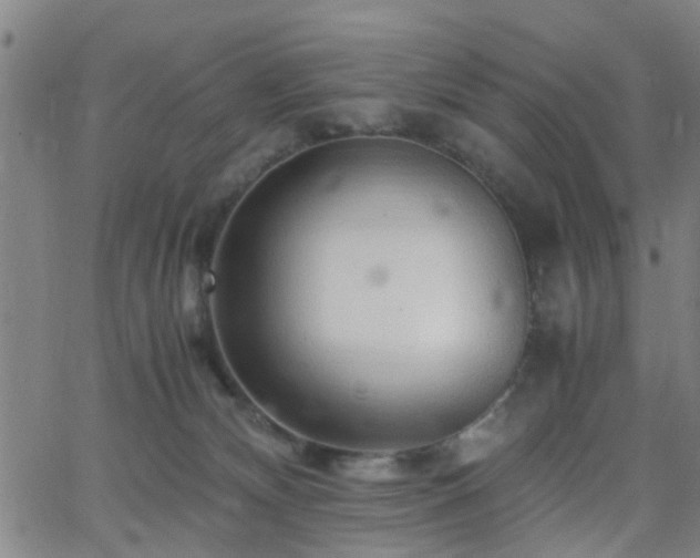 X0000062650132200512230905