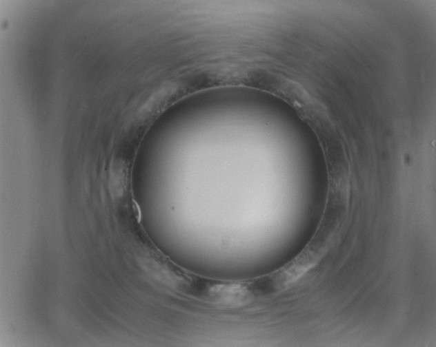 X0000062650133200512230905