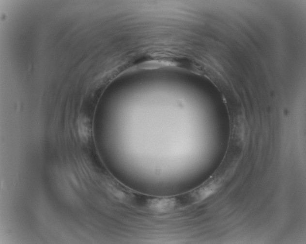 X0000062650135200512230905