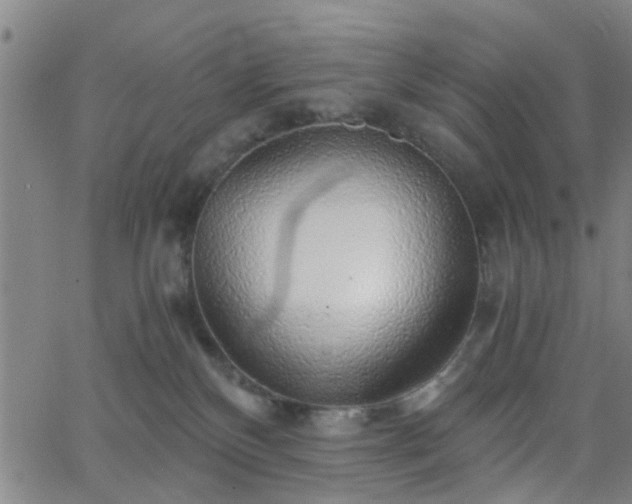 X0000062650136200512230905