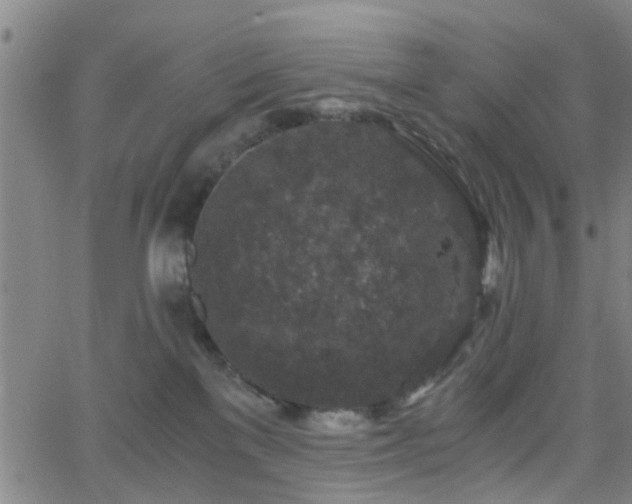 X0000062650137200512230905