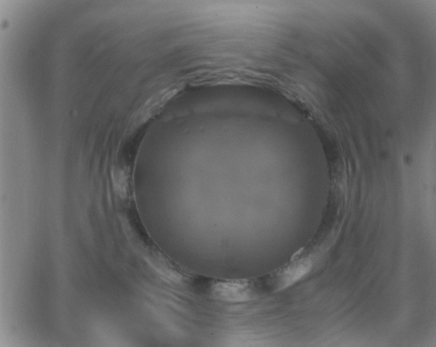 X0000062650139200512230905