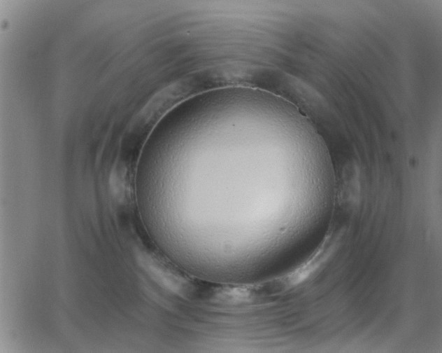 X0000062650140200512230905