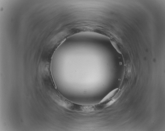 X0000062650141200512230905