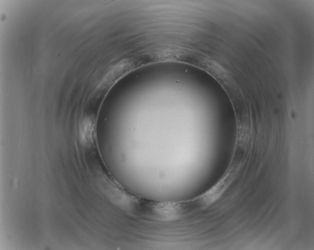 X0000062650142200512230905