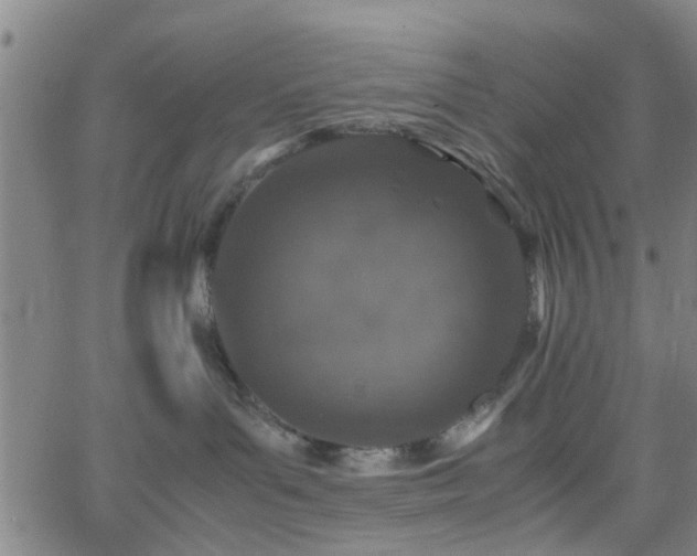 X0000062650143200512230905