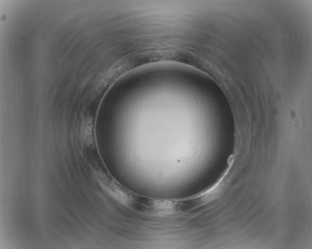 X0000062650144200512230905