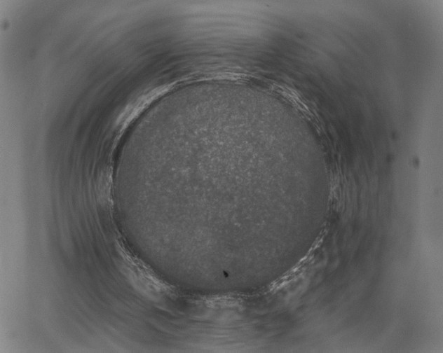 X0000062650146200512230904