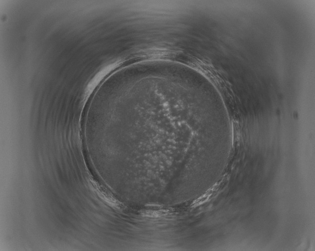 X0000062650147200512230904