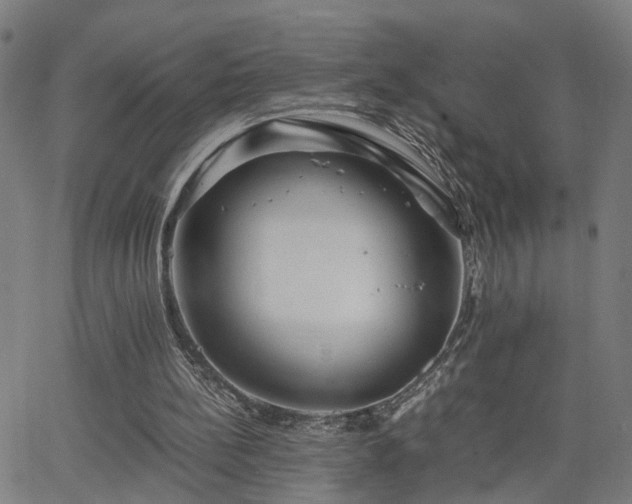 X0000062650148200512230904