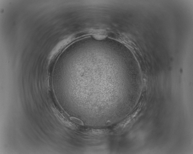 X0000062650149200512230904