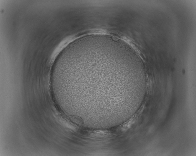 X0000062650151200512230904