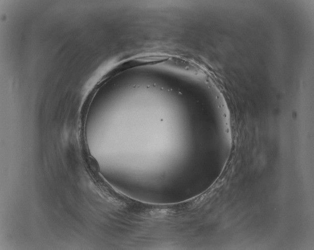 X0000062650152200512230904