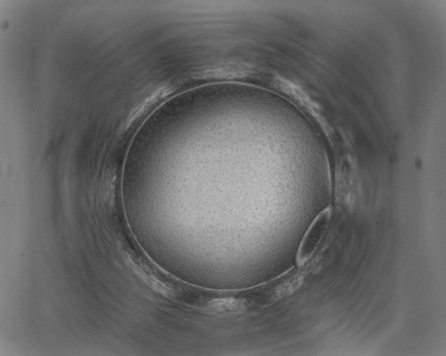 X0000062650153200512230904