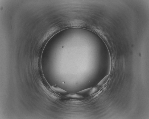 X0000062650154200512230904