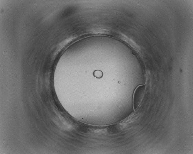 X0000062650155200512230905