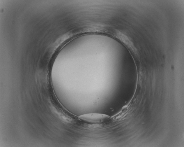 X0000062650156200512230905