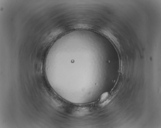 X0000062650157200512230905