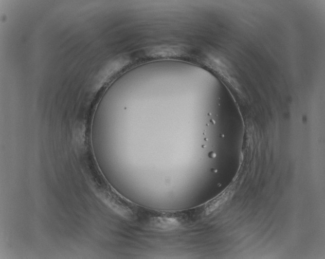 X0000062650159200512230905