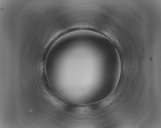 X0000062650160200512230905