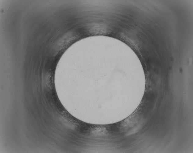 X0000062650162200512230905