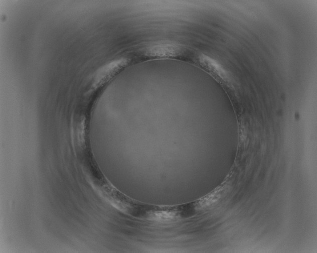 X0000062650163200512230905