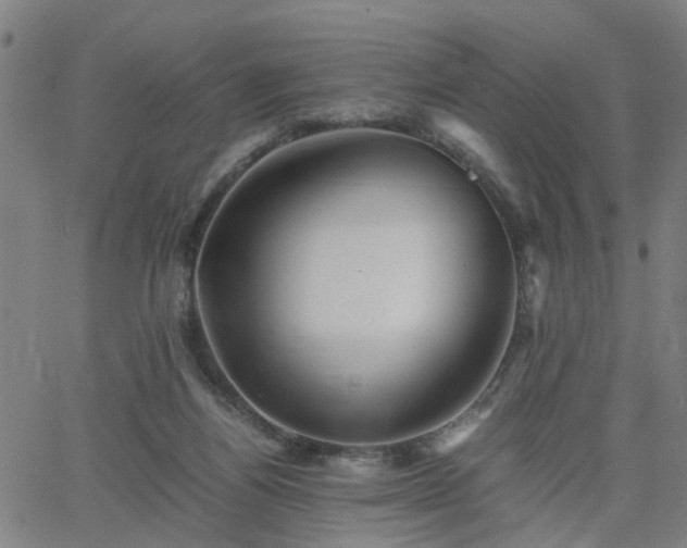 X0000062650164200512230905