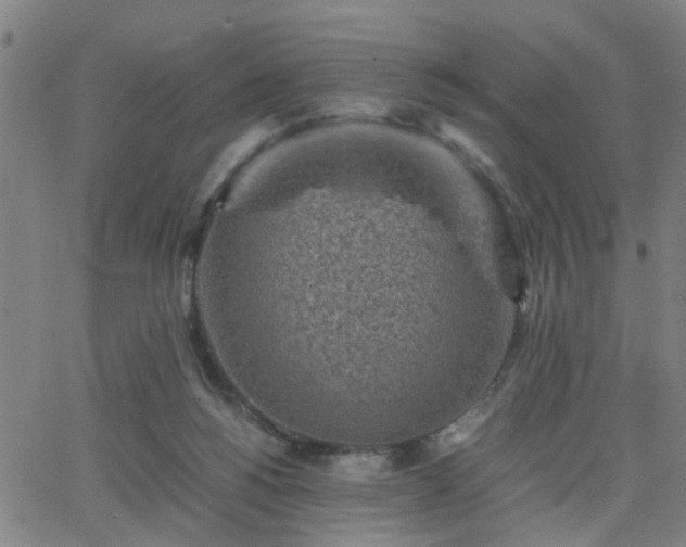 X0000062650168200512230905