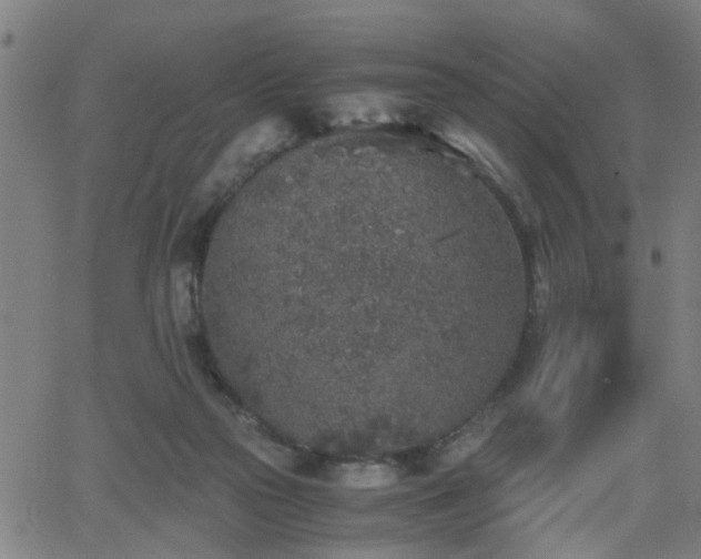 X0000062650169200512230905