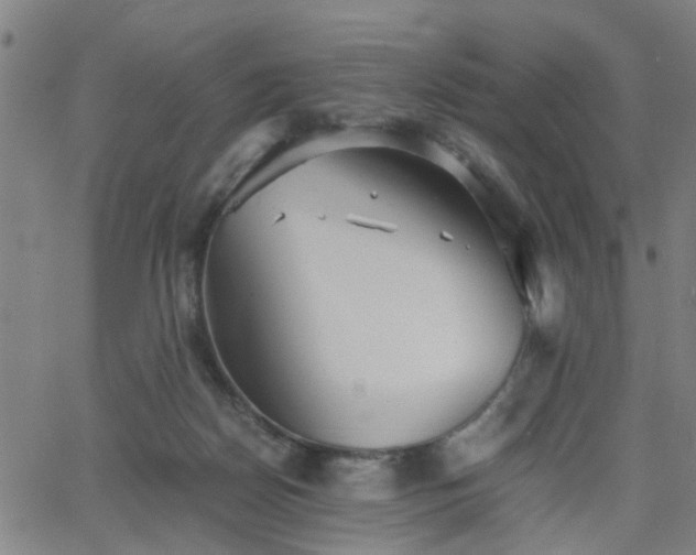 X0000062650170200512230905