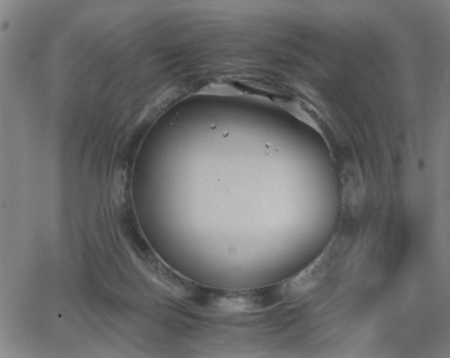 X0000062650171200512230905