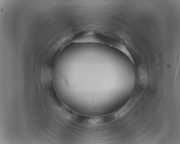 X0000062650172200512230905