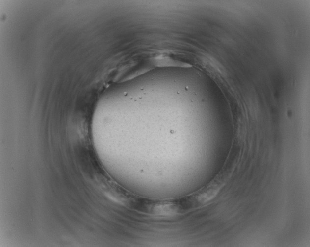 X0000062650173200512230905