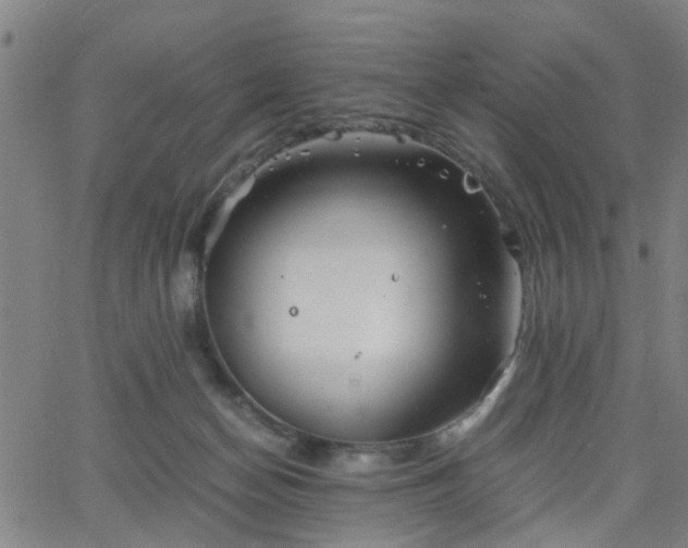 X0000062650174200512230905