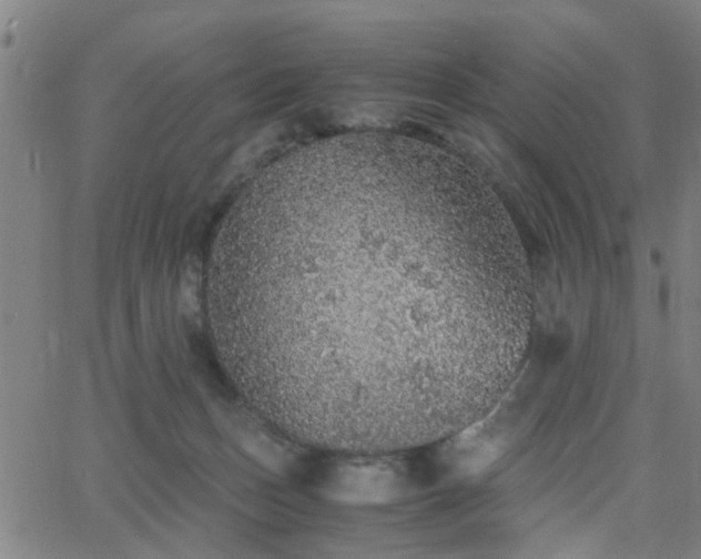 X0000062650175200512230905