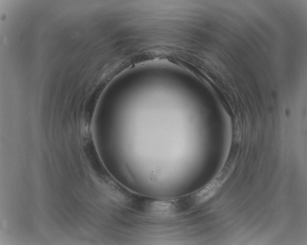 X0000062650176200512230905